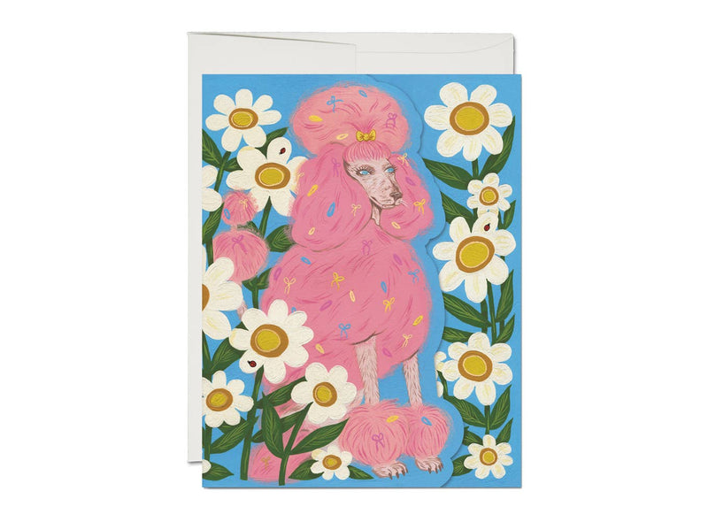 Pink Poodle Card - Proper