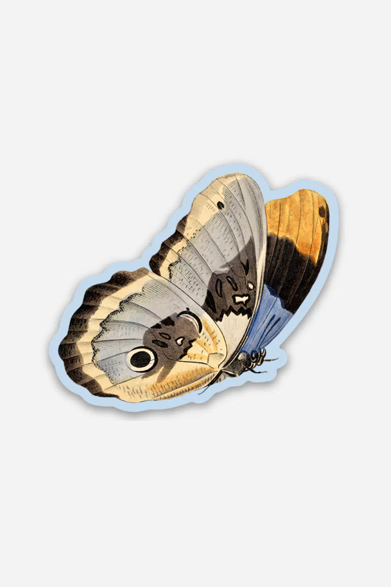 Unconcerned Butterfly - Gap Filler Sticker - Proper