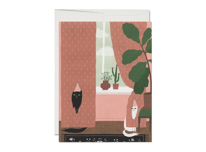 Cat Crimes Card - Proper