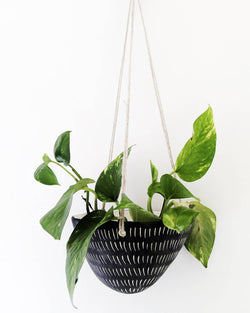 Dash Hanging Planter - Proper