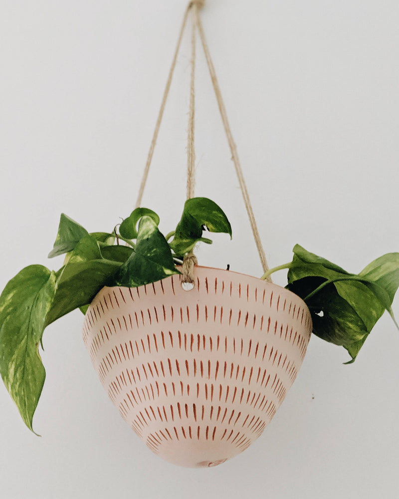 Dash Hanging Planter - Proper