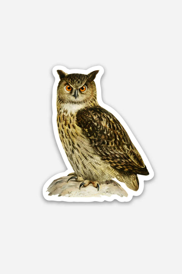Disgusted Owl - Gap Filler Sticker - Proper