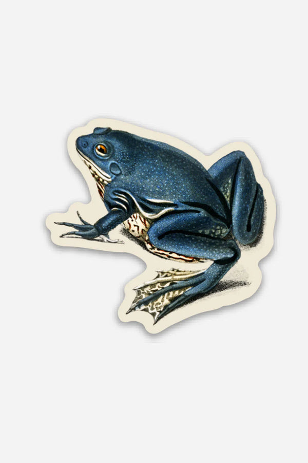 Exasperated Frog - Gap Filler Sticker - Proper