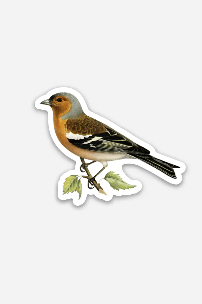 Stoic Finch - Gap Filler Sticker - Proper