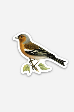 Stoic Finch - Gap Filler Sticker - Proper