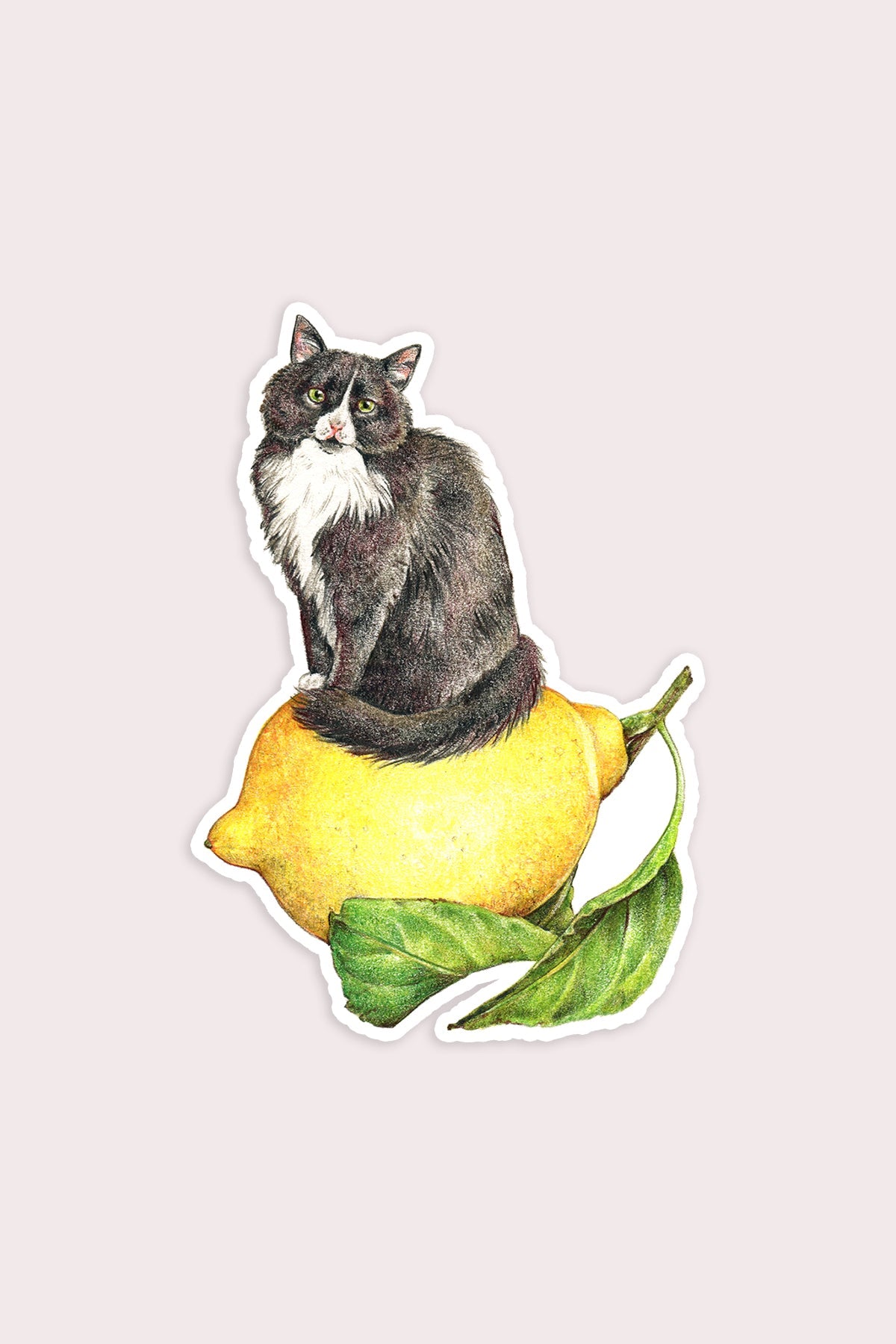 Lemon Cat Vinyl Sticker - Proper