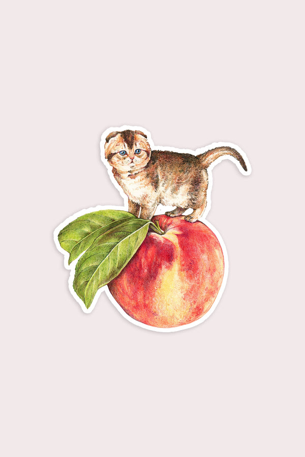 Peach Cat Vinyl Sticker - Proper