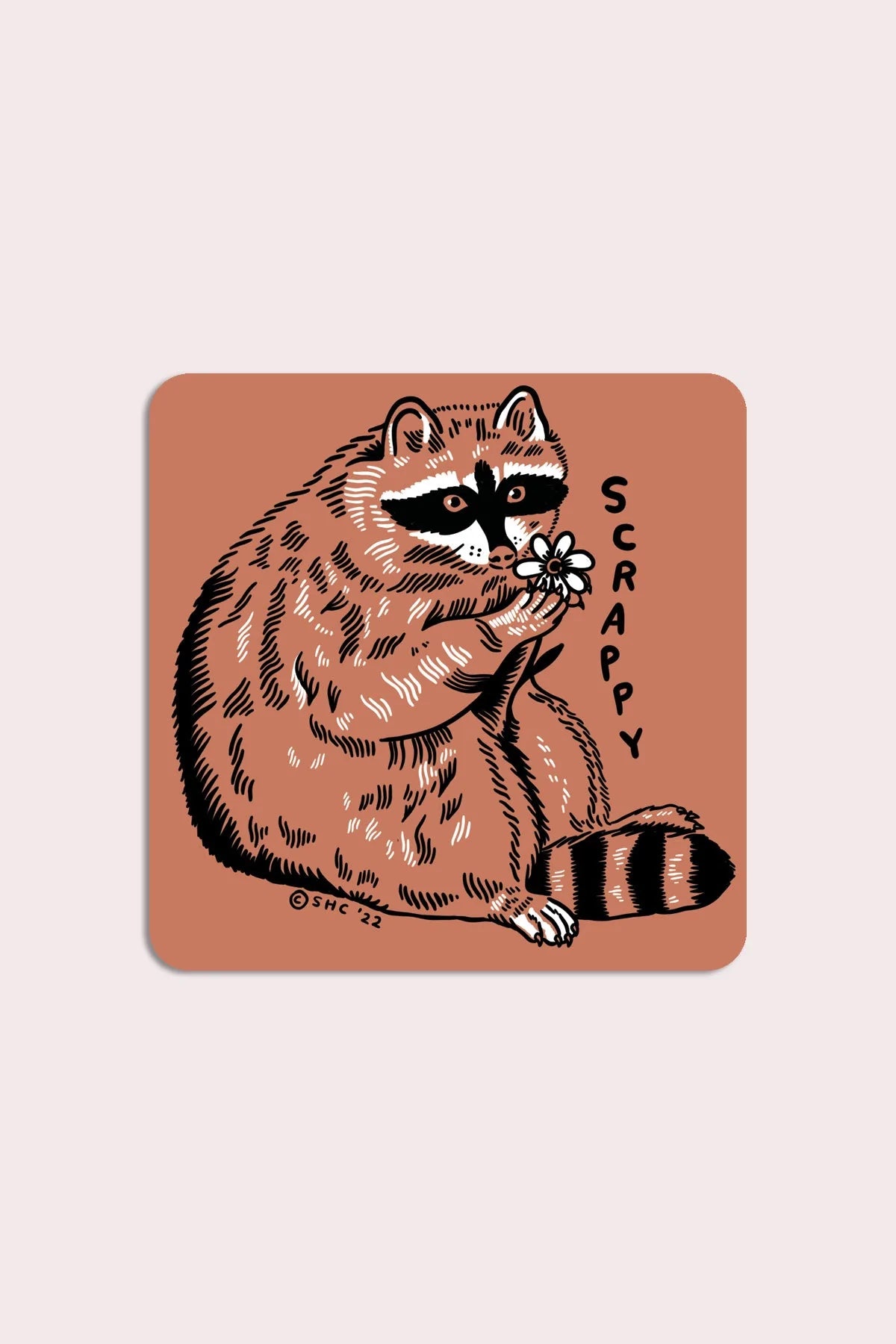 Scrappy Raccoon Vinyl Sticker - Proper